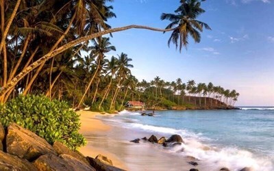 Новий рік - розкіш і спокій Шрі-Ланки! Горящие туры на Шри-Ланку