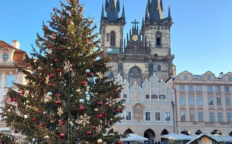 Территория  