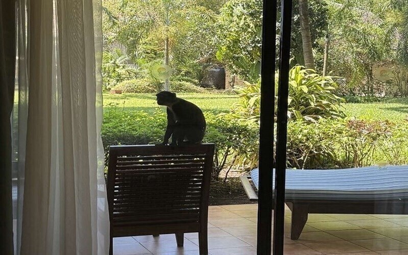 Вид Baobab Beach Resort 4*