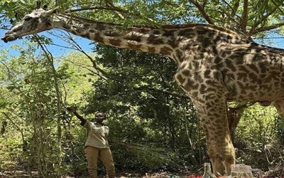 Гарячі тури до Кенії з  Кошице