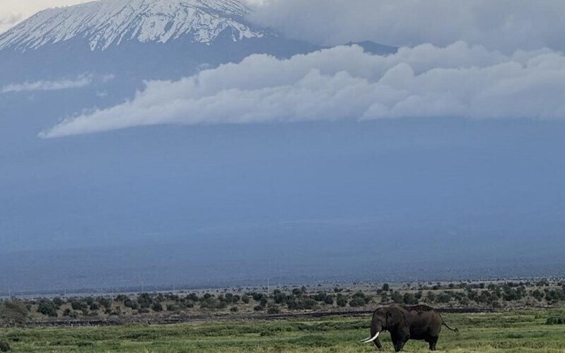 Фотографія