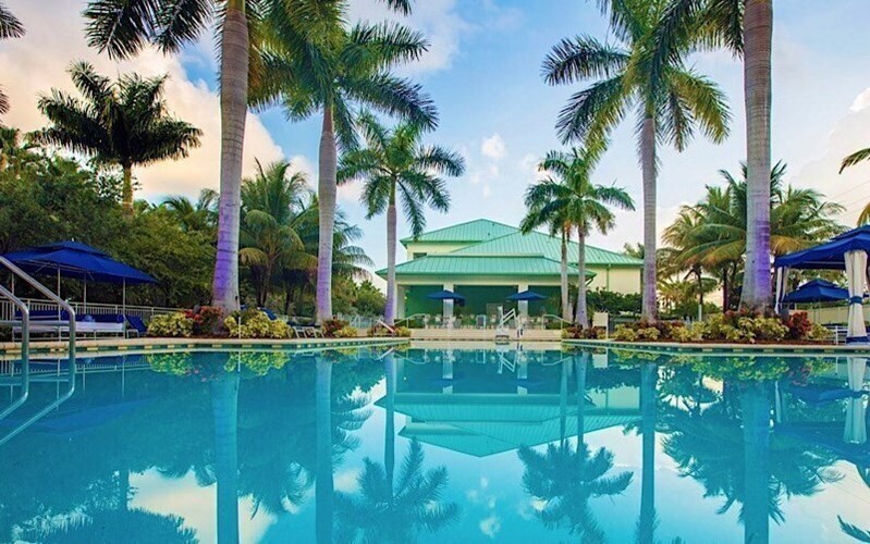 Отель Provident Doral At The Blue 4*