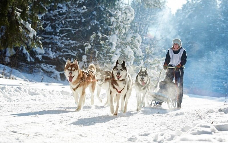 Фотографія  