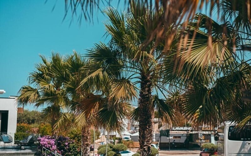 Картинка Aler Bianco 4*