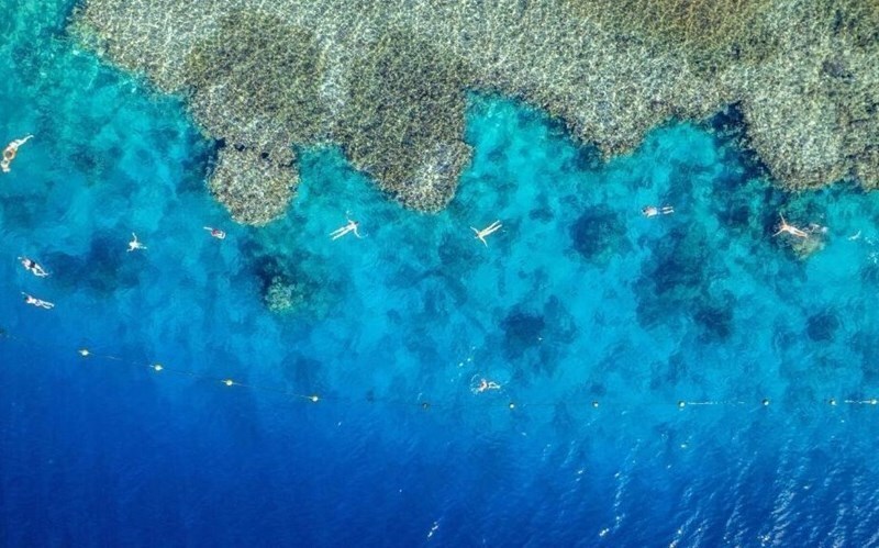 Панорама Grand Oasis Resort (ex. Tropicana Grand Oasis Resort) 4*