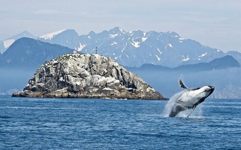 Апартаменти