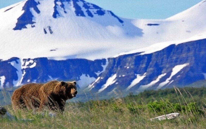 Фотографія