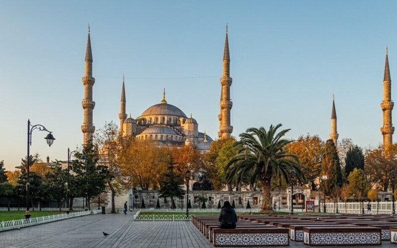 Территория  