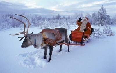 Тури в Естонію