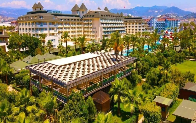 Фотография