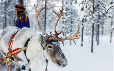«Лапландия – Путешествие в мир Санты» Отдых с детьми
