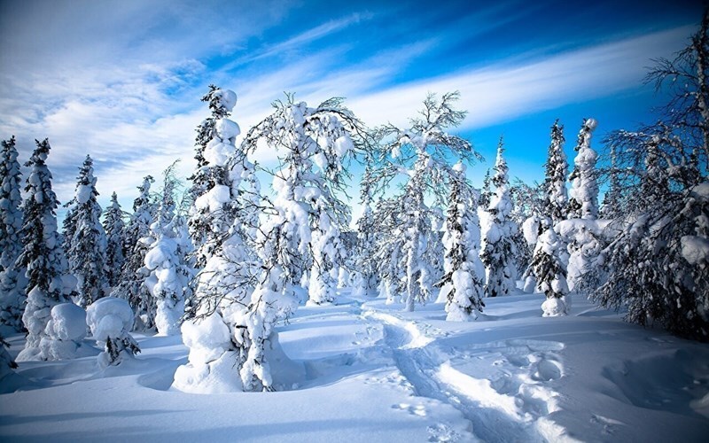 Фотографія  