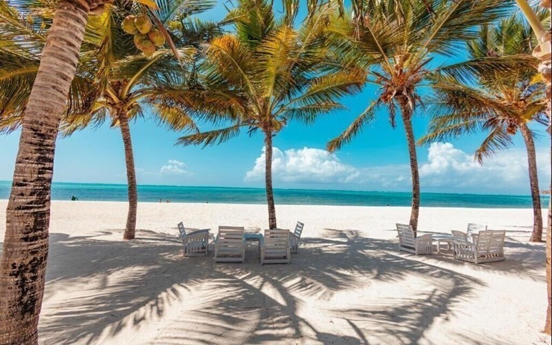 Отель Twiga Beach 4*